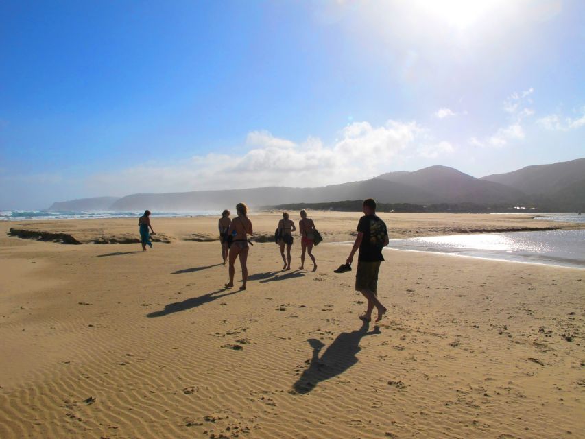 From Cape Town: 7 Day Garden Route, Addo and Winelands Combo - Relaxing in Jeffreys Bay