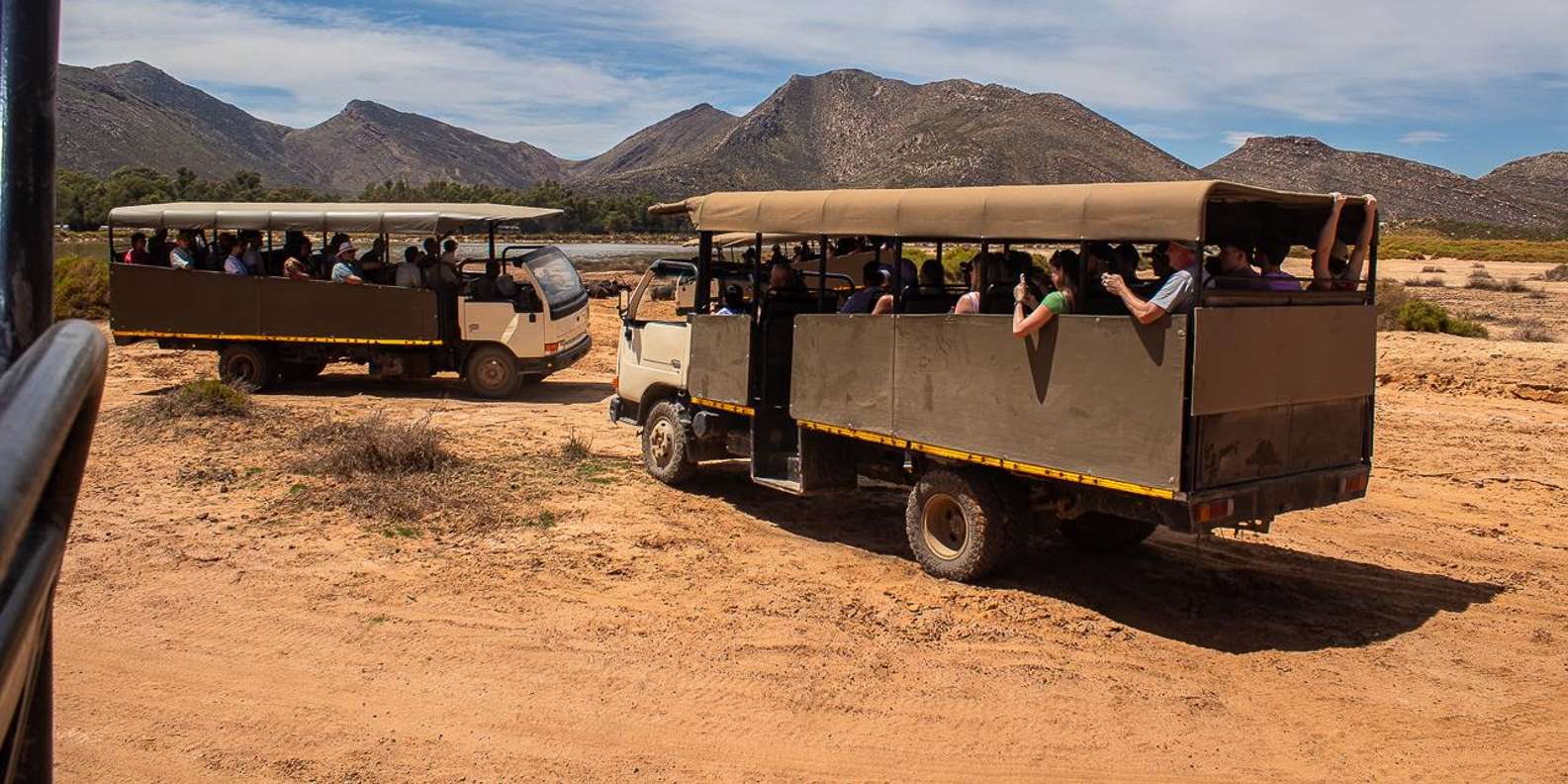 From Cape Town: Aquila Game Reserve Safari With Transfers - What to Expect