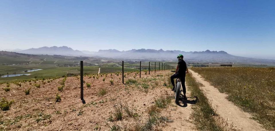 From Cape Town: Half-Day Winelands E-Bike Tour - Winery Visit and Wine Tasting