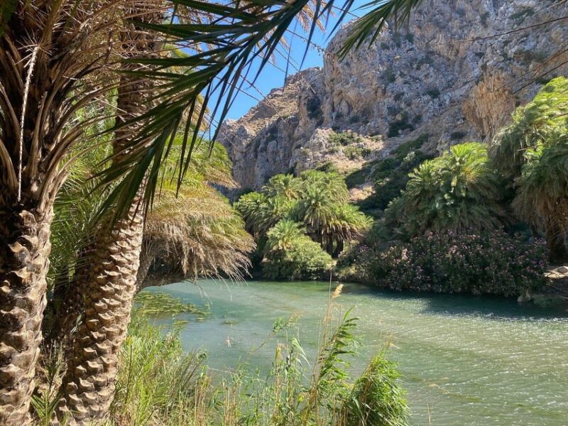 From Chania: Preveli Palm Beach and Kourtaliotis Waterfalls - Kourtaliotis Gorge and Waterfalls