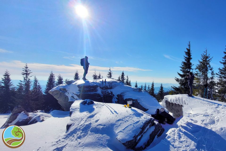 From Cluj: Winter Walking Trip on the Great Mountain - Customer Reviews