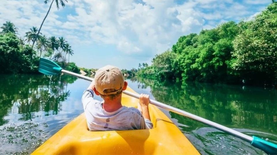 From Colombo: Bentota Day Tour and Hikkaduwa Beach Tour - Turtle Hatchery, Kosgoda