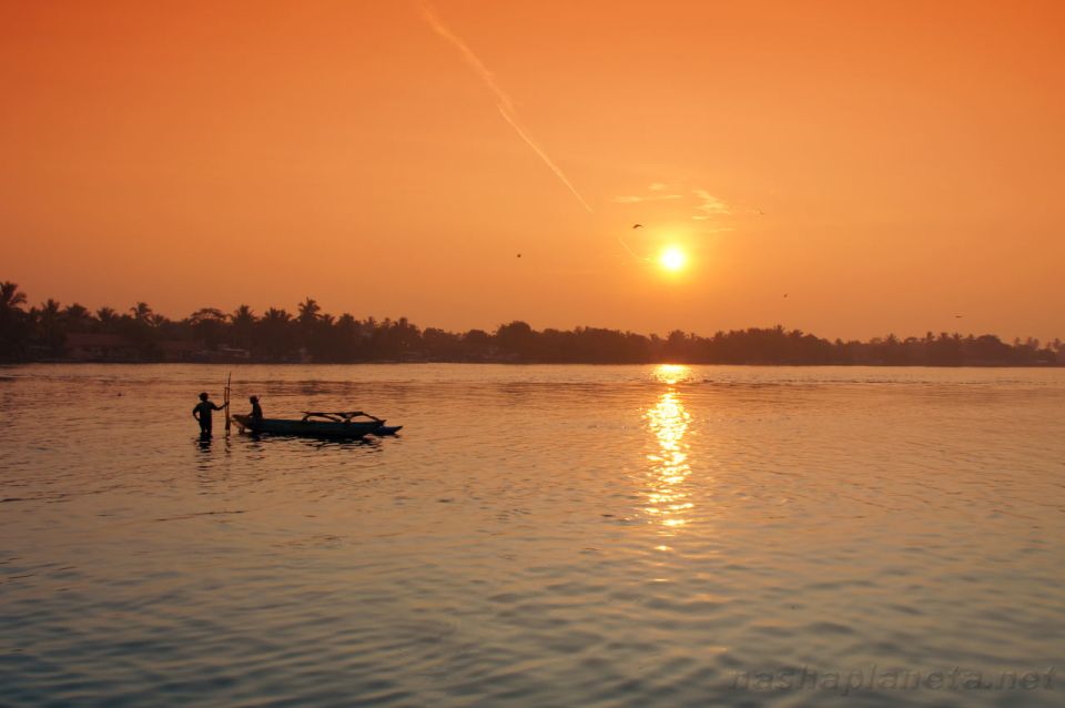 From Colombo: Negombo Lagoon (Mangrove )Boat Excursion - Included and Excluded