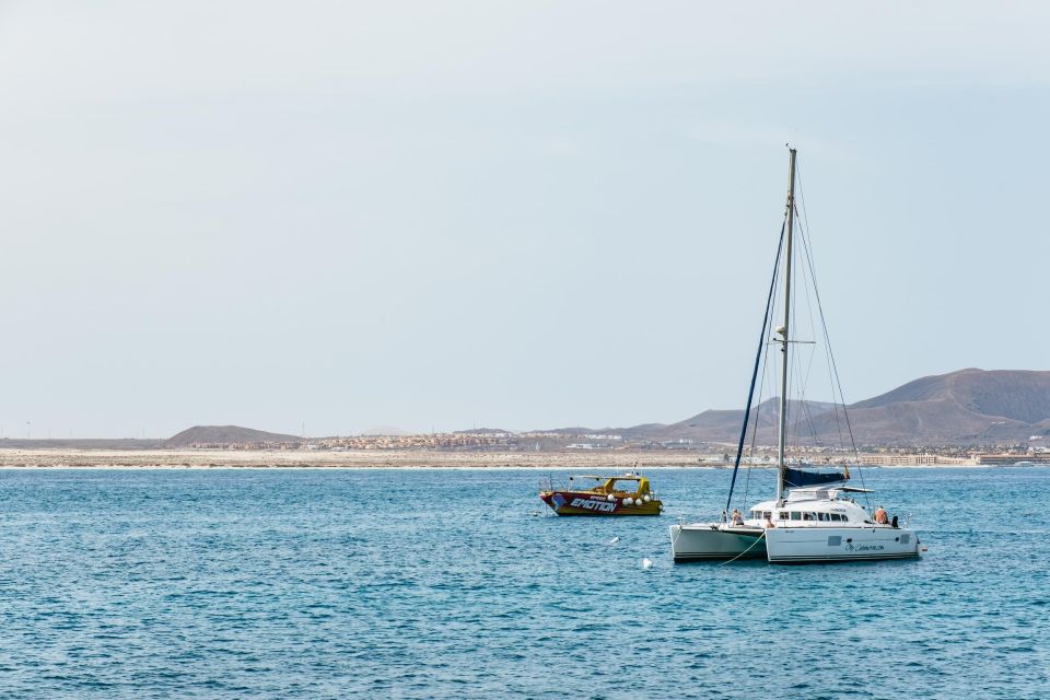 From Corralejo: Round-Trip Ferry Transfer to Lobos Island - Customer Ratings and Reviews