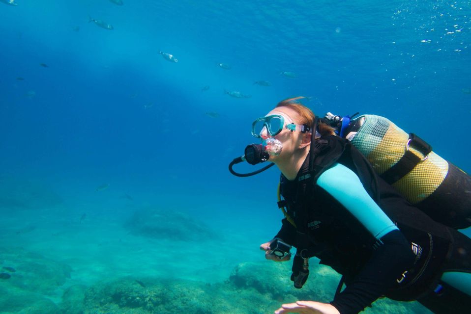 From Dahab: Diving Day Trip at The Canyon and Blue Hole - Customer Reviews and Highlights