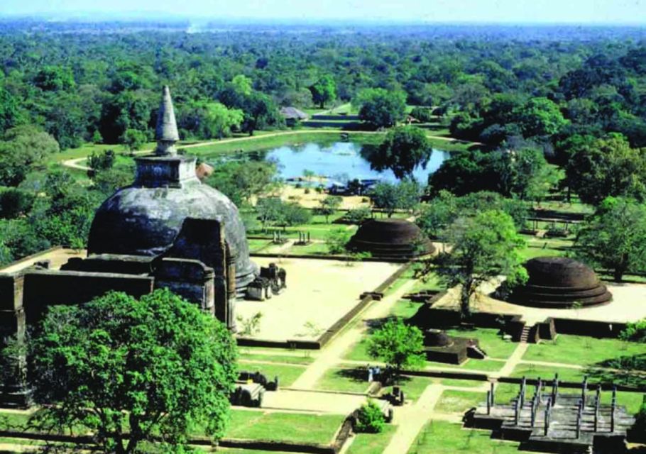 From Dambulla: Private Polonnaruwa and Minneriya Day Tour - Lunch Break