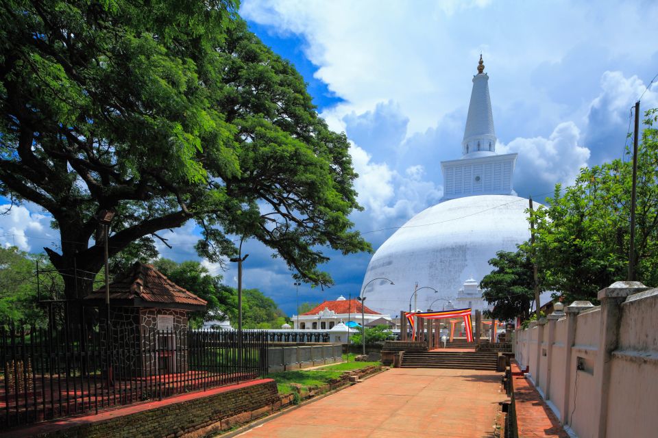 From Dambulla: Sacred City of Anuradhapura Private Day Tour - Mihintale Visit