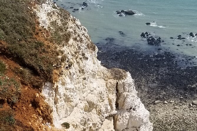 From Dover Cruise Ship; Grand Tour of White Cliffs Country & Back - Samphire Hoe Nature Reserve