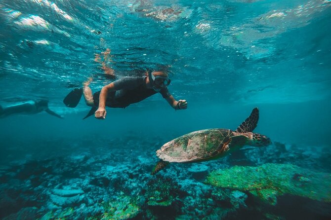 From Dubai: Snorkeling Trip in Fujairah - Meeting and Pickup Logistics