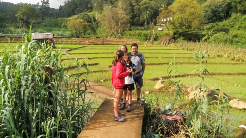 From Ella: Little Adam's Peak and Nine Arches Bridge Hiking - Historical Landmarks