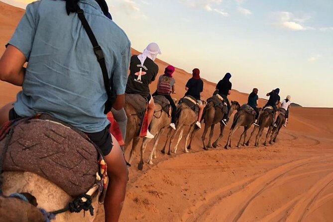 From Fes to Marrakech : 3 Days Tour via the Desert of Merzouga - Traveler Insights