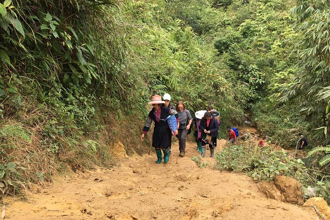 From Hanoi: 2 Days Sapa Trek & Fansipan Adventure With Dcar - Customer Feedback
