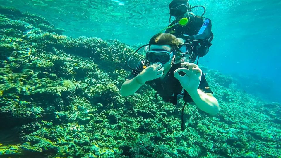 From Hurghada: Orange Island Snorkeling Cruise With Lunch - Customer Reviews