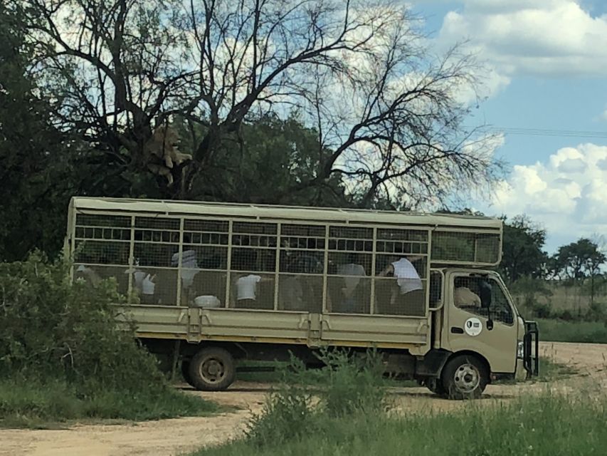 From Johannesburg: Cradle of Humankind and Lion Safari - Important Information