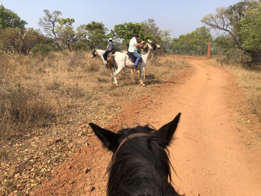 From Johannesburg: Horse-Riding Safari and Cable Car Tour - Wildlife Encounters