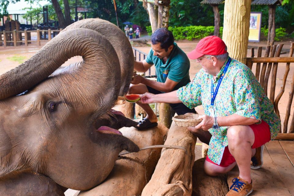 From Kandy: Pinnawala and Botanical Garden Tour By Tuk Tuk - Elephant Orphanage Experience