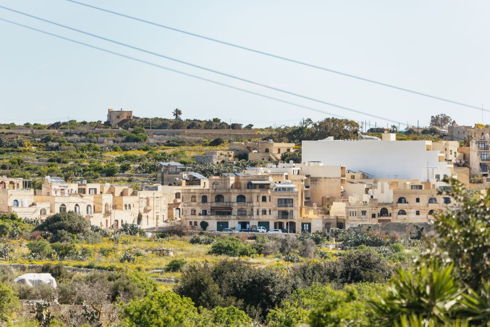 From Malta: Gozo Full-Day Quad Tour With Lunch and Boat Ride - Customer Reviews