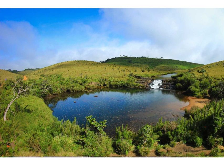 From Nuwara Eliya: Horton Plains Trekking & Tea Factory Tour - Important Information