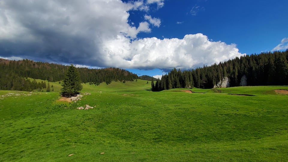 From Oradea:Carpathian Mountains Guided Scenic Hike - Safety and Restrictions