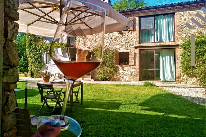From Padua, Wine Tour in the Euganean Hills - Tour Reviews and Ratings