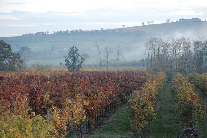 From Parma: Parmigiano,Prosciutto and Winery Tour and Tasting - Parmigiano Reggiano Cheese Factory