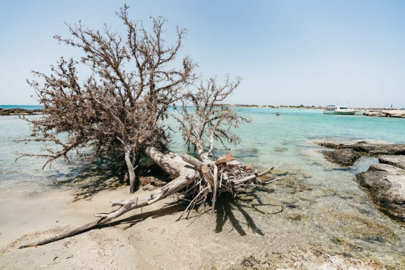 From Rethymno: Elafonissi Pink Sand Beach Tour PRIVATE - Transportation Details