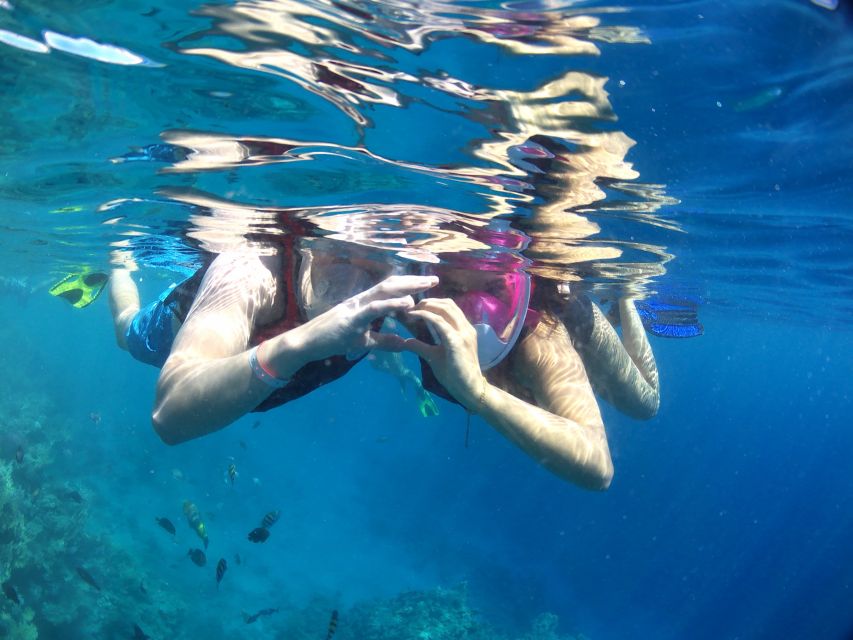 From Soma Bay and Makadi: Sharm El Naga Snorkeling Trip - Customer Ratings and Feedback