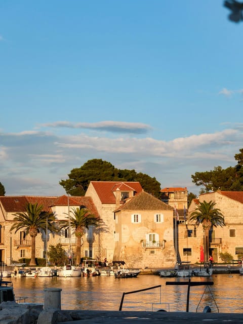 From Split Area to Brilliant Brač: a Day of Island Bliss - Savoring the Culinary Delights