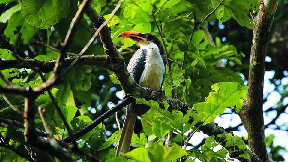 From Sri Lanka Two Day Wildlife & Culture Tour - Sigiriya Village Experience