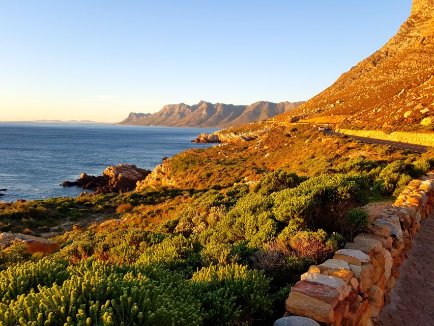 From Stellenbosch: Hermanus Whale Route Tour - Harold Porter Botanical Garden