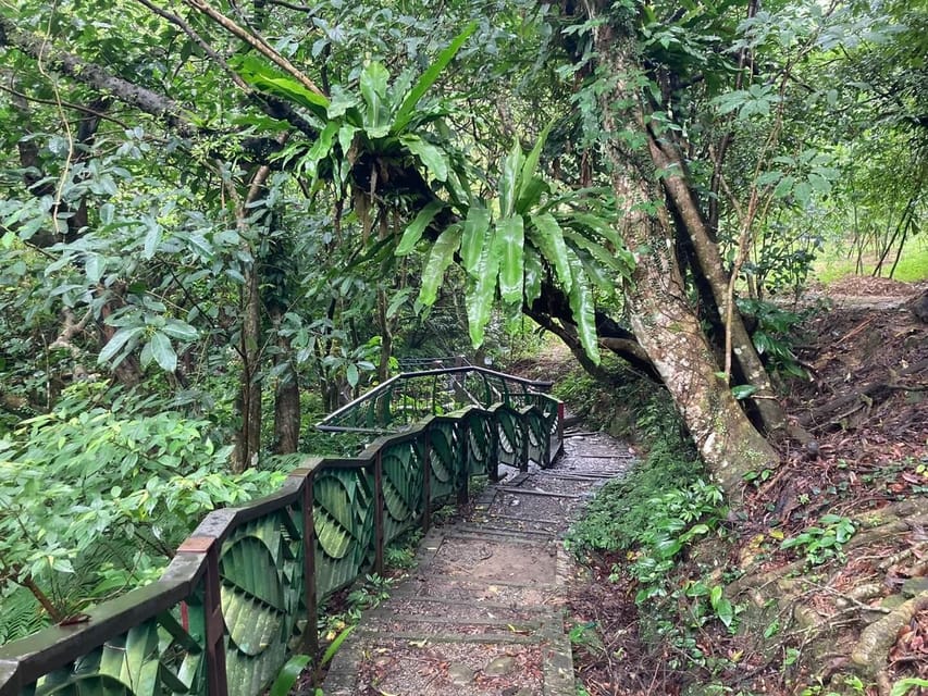 From Taipei: Pinglin Tea Culture and Maokong Guided Day Tour - Scenic Maokong Gondola Ride