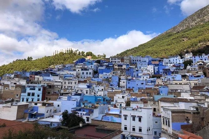 From Tangier: Full Day Trip to Chefchaouen - Reviews and Experiences