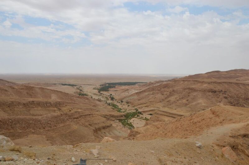 From Tozeur: Half-Day Mountain Oases Tour - Customer Reviews