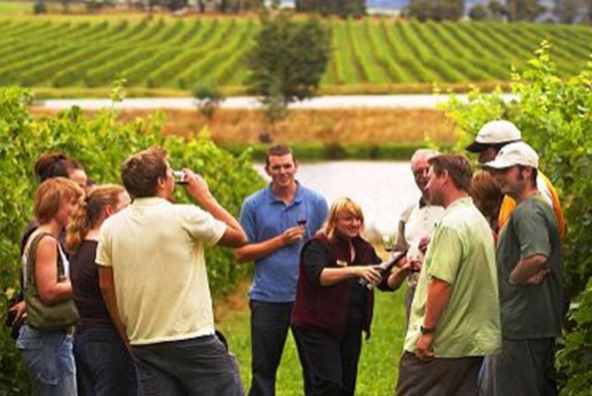 From Victoria to Cowichan Wine 6-Hour Guided Tour - Health and Accessibility