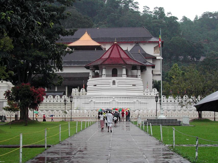 From West Coast: Kandy, Pinnawala, Botanical & Tea Gardens - Peradeniya Botanical Garden