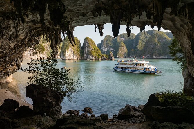 Full-Day Activity Ha Long Bay of Vietnam From Ninh Binh - Reviews and Feedback