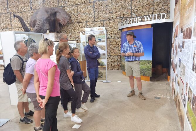 Full-Day Addo Elephant Park & Giraffe Walk Safari - Customer Feedback