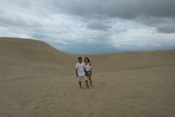 Full Day Ballestas Islands + Huacachina, the Oasis of America + Ica Desert - Maximum Group Size and Accessibility