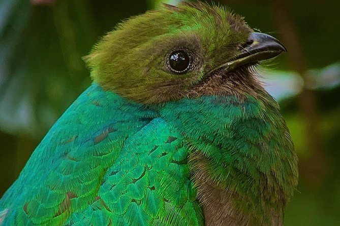 Full Day Birdwatching Experience - Exploring the Continental Divide