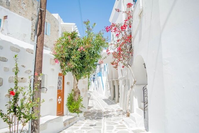 Full Day Bus Tour in Paros and Antiparos Islands From Paros - Customer Feedback