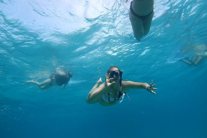 Full-day Dolphin House And Swim With Dolphin - Logistics and Accessibility