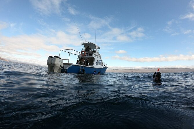 Full Day Galapagos 360 Tour From San Cristobal (Naturalist Guide) - Key Stops and Activities