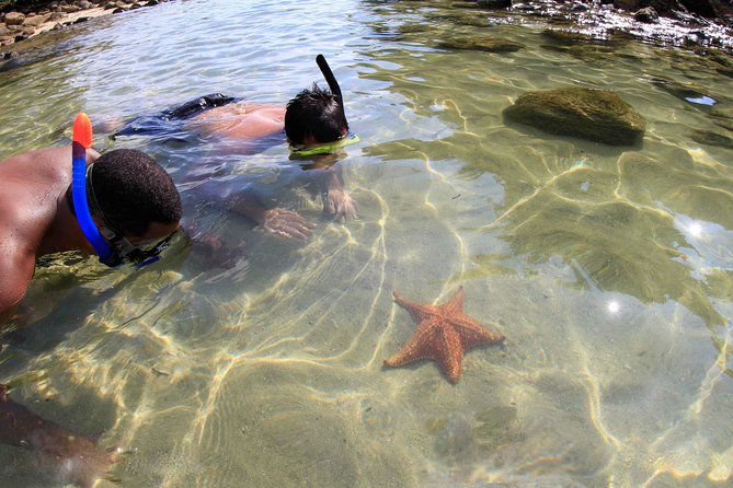 Full-Day Ilha Grande Northern Coast Speedboat Tour - Booking and Cancellation