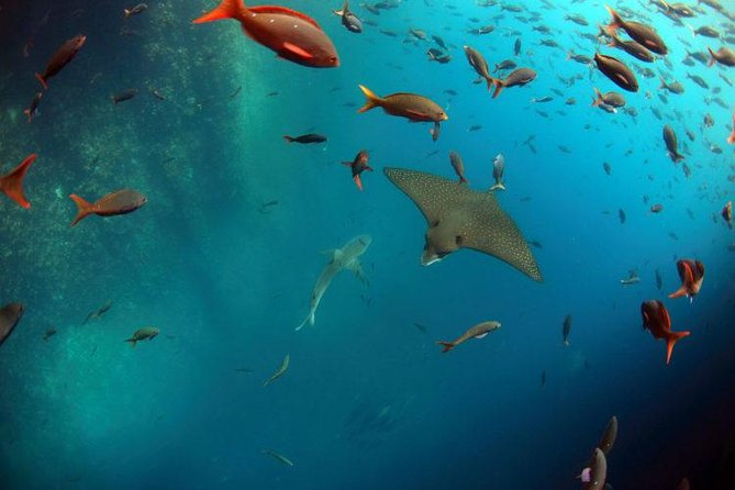 Full Day Kicker Rock - Cancellation Policy
