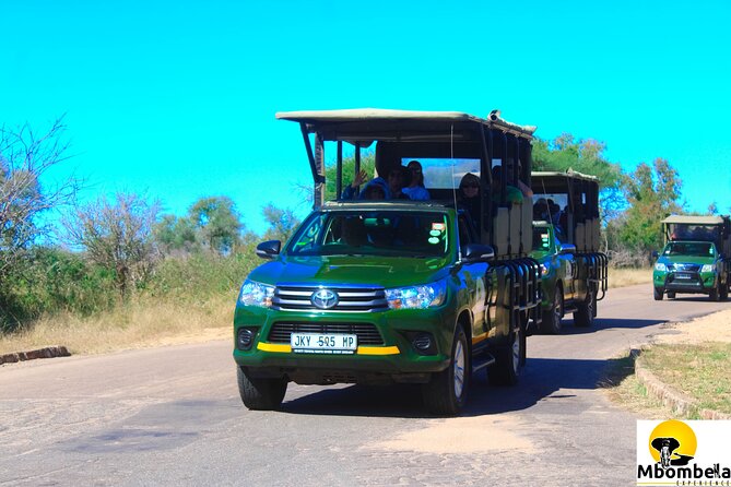 Full-Day Kruger Park Safari From Nelspruit, Whiteriver or Hazyview - Traveler Reviews and Ratings