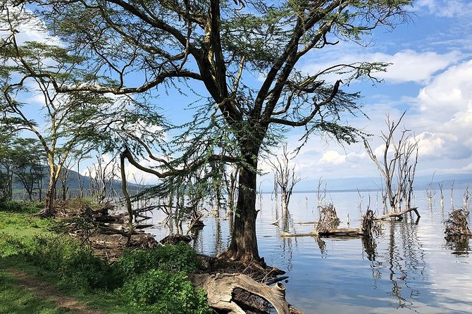 Full-Day Lake Nakuru National Park From Nairobi - Tips for Your Trip