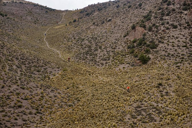 Full Day - Mountain Bike in the Andes - Customer Feedback