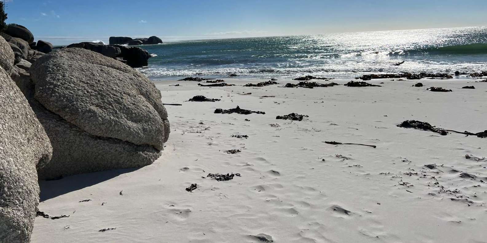 Full-Day Private Cape Town's Most Beautiful Beaches Tour - Cancellation Policy Details