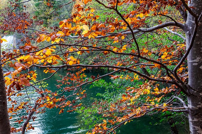 Full-Day Private Plitvice Lakes National Park Tour From Split - Visitor Reviews