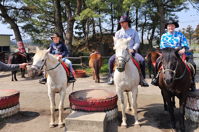 Full-Day Private Tour in Jeju Island - Customer Assistance